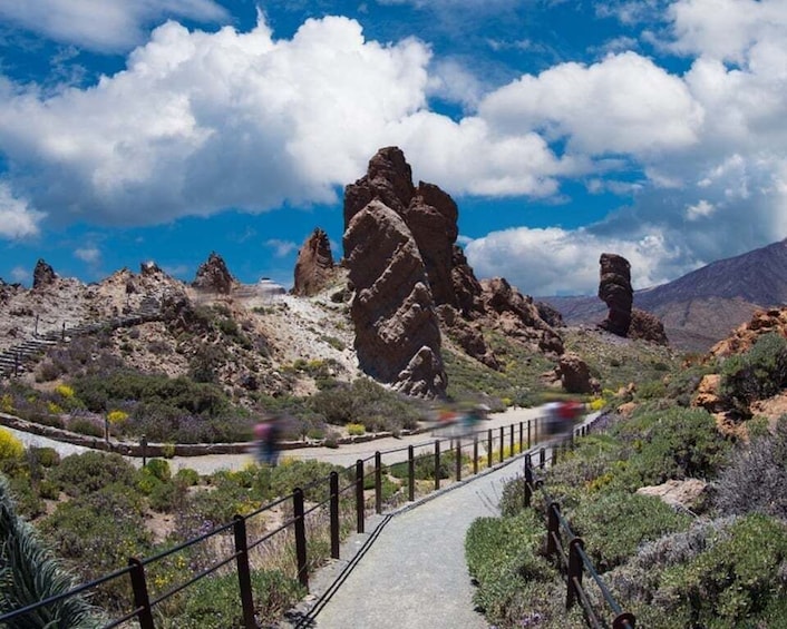 Picture 6 for Activity Teide National Park: Landscapes and Viewpoints Private Tour