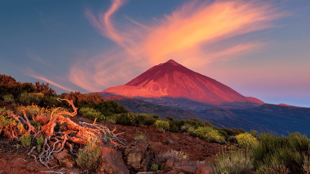 Picture 2 for Activity Teide National Park: Landscapes and Viewpoints Private Tour