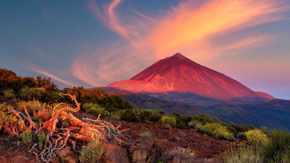 Picture 2 for Activity Teide National Park: Landscapes and Viewpoints Private Tour