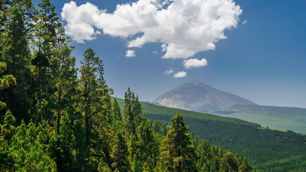 Picture 4 for Activity Teide National Park: Landscapes and Viewpoints Private Tour