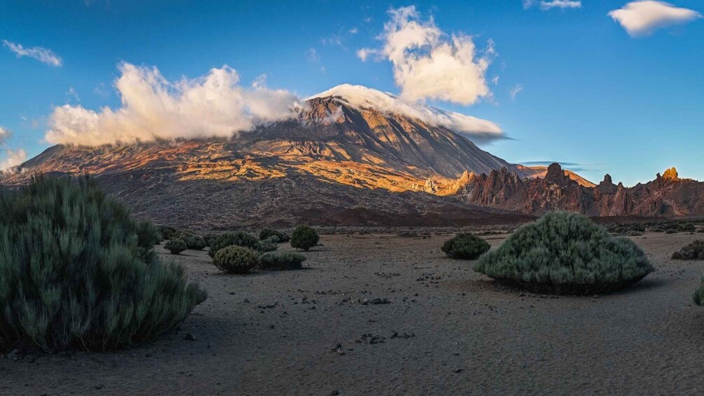 Picture 21 for Activity Teide National Park: Landscapes and Viewpoints Private Tour