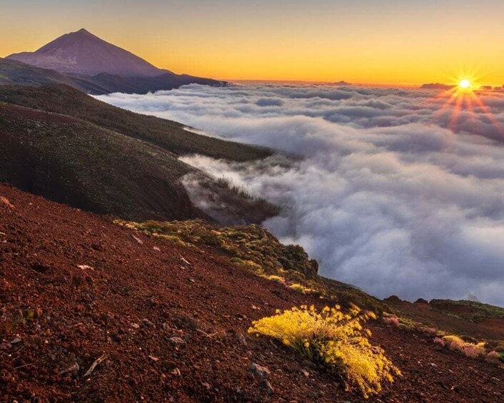 Picture 15 for Activity Teide National Park: Landscapes and Viewpoints Private Tour