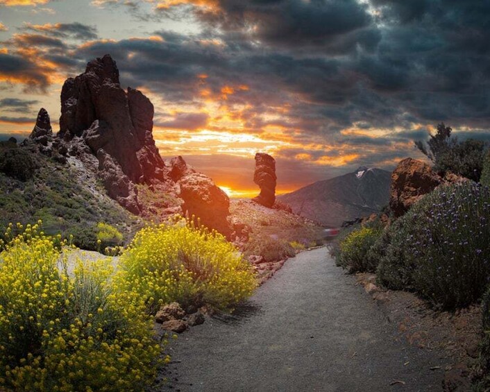 Picture 5 for Activity Teide National Park: Landscapes and Viewpoints Private Tour