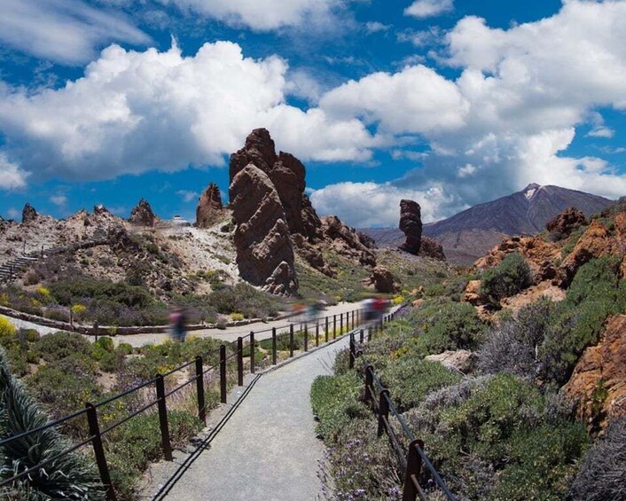 Picture 6 for Activity Teide National Park: Landscapes and Viewpoints Private Tour