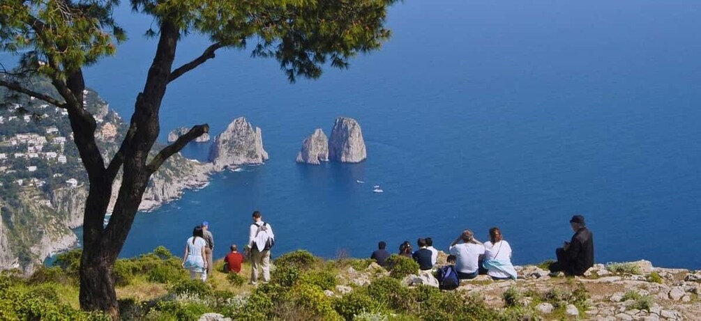 Picture 12 for Activity Sorrento: Capri, Anacapri & Villa San Michele Hydrofoil Tour