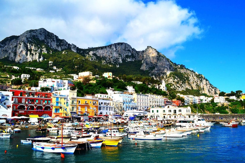 Picture 1 for Activity From Amalfi Coast: Capri and Anacapri Full-Day Guided Trip