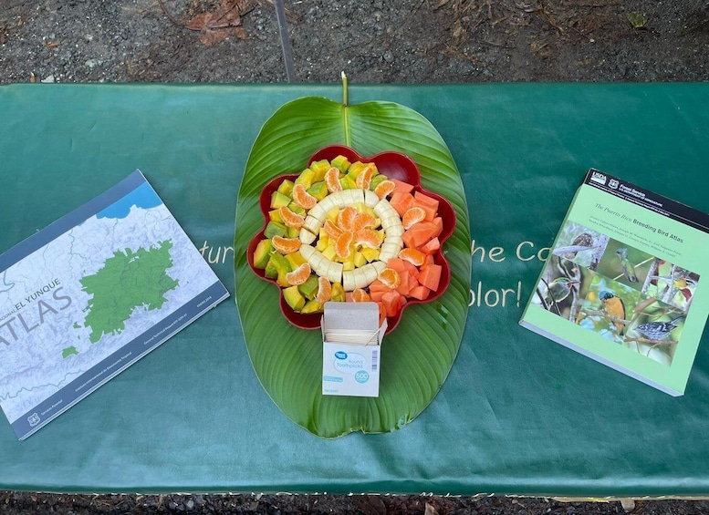 Picture 2 for Activity El Yunque Forest: Rainforest Nature Walk at Night Tour