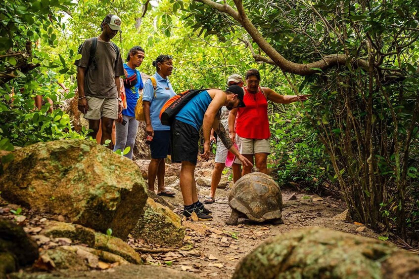 Picture 8 for Activity Seychelles: St Pierre and Curieuse Catamaran Tour with Lunch