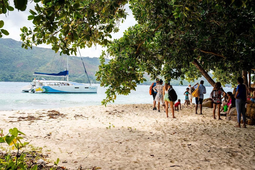 Picture 11 for Activity Seychelles: St Pierre and Curieuse Catamaran Tour with Lunch