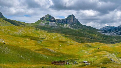 Desde Kotor: Excursión de un día en el Macizo de Durmitor y cena