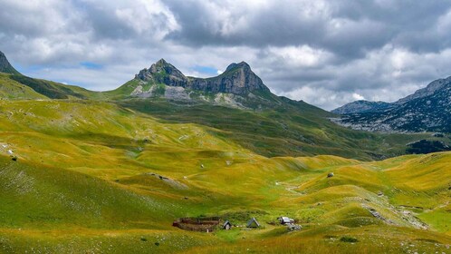 Depuis Kotor : Excursion d'une journée dans le massif du Durmitor et dîner