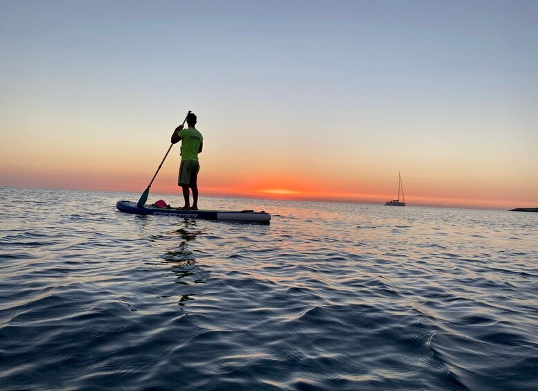 Picture 5 for Activity Polignano a Mare: Stand-Up Paddle Board Sea Cave Trip