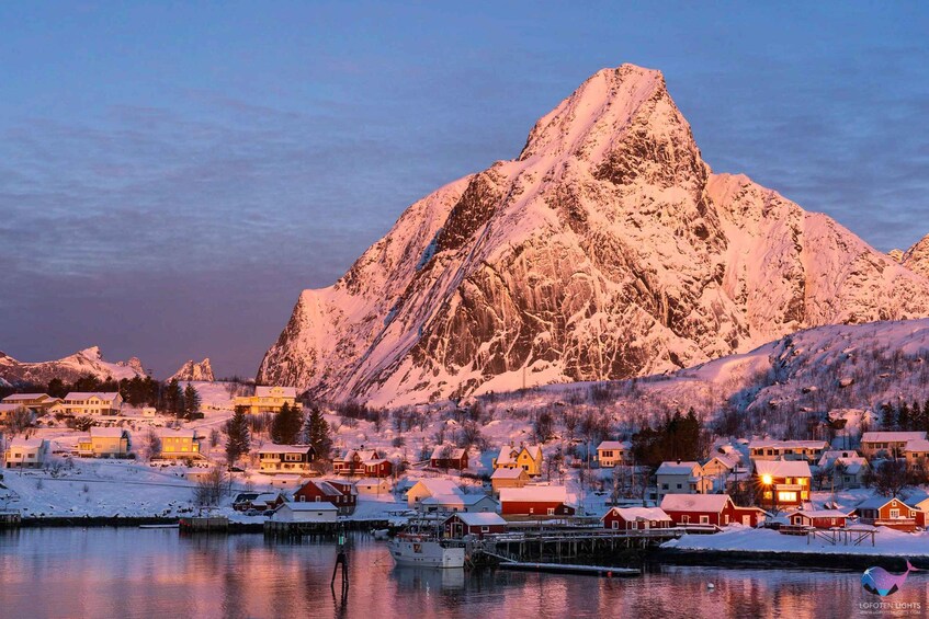 Picture 3 for Activity From Svolvær: Reine Winter Photography Tour and Photographer