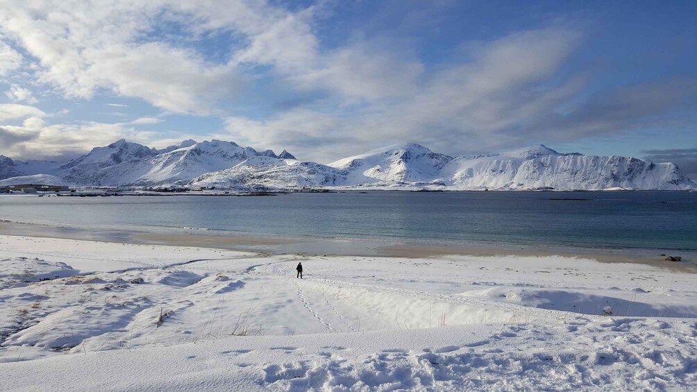 Picture 4 for Activity From Svolvær: Reine Winter Photography Tour and Photographer