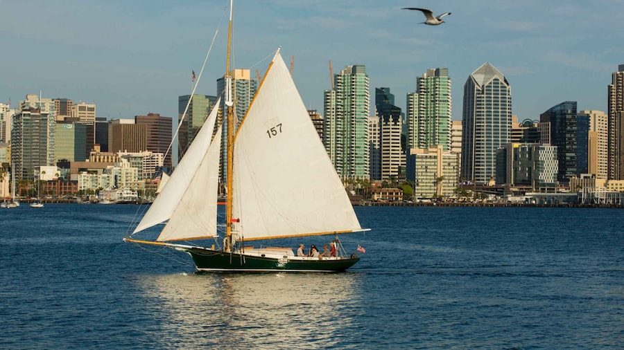 San Diego: Classic Yacht Sailing Experience