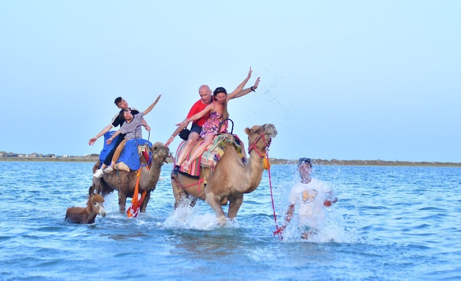 Picture 1 for Activity Djerba: Guided Camel Ride with Blue Lagoon Visit