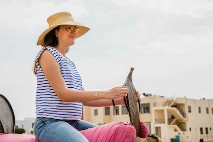 Hammamet: Guided Camel Ride