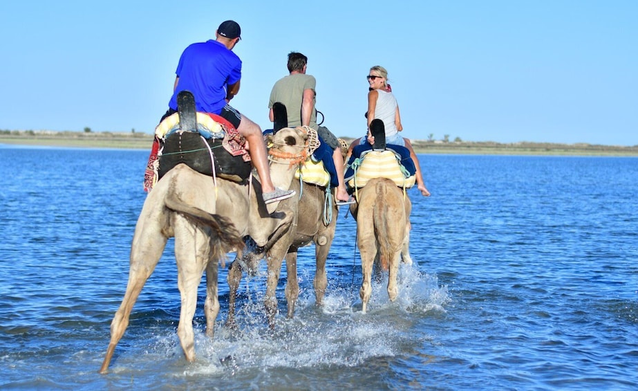Picture 3 for Activity Djerba: Guided Camel Ride with Blue Lagoon Visit