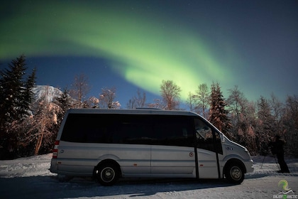 Tromsø: Norrskensresa med lägereld och snacks