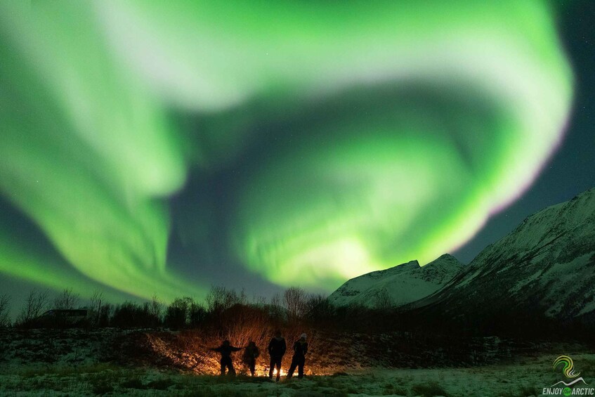 Picture 4 for Activity Tromsø: Northern Lights Trip with Campfire and Snacks