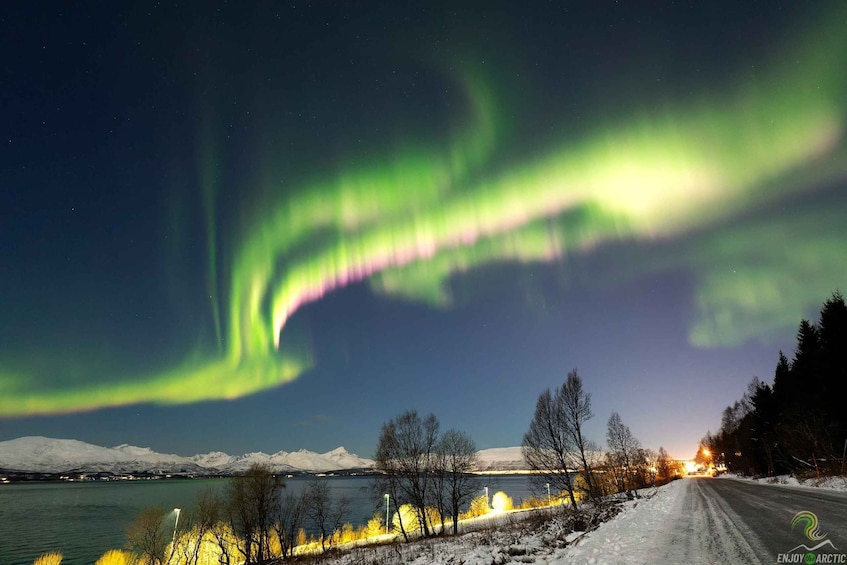 Picture 2 for Activity Tromsø: Northern Lights Day Trip with Campfire and Snacks