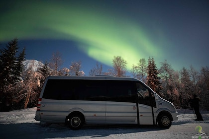 Tromsø: Gita all'aurora boreale con falò e spuntini