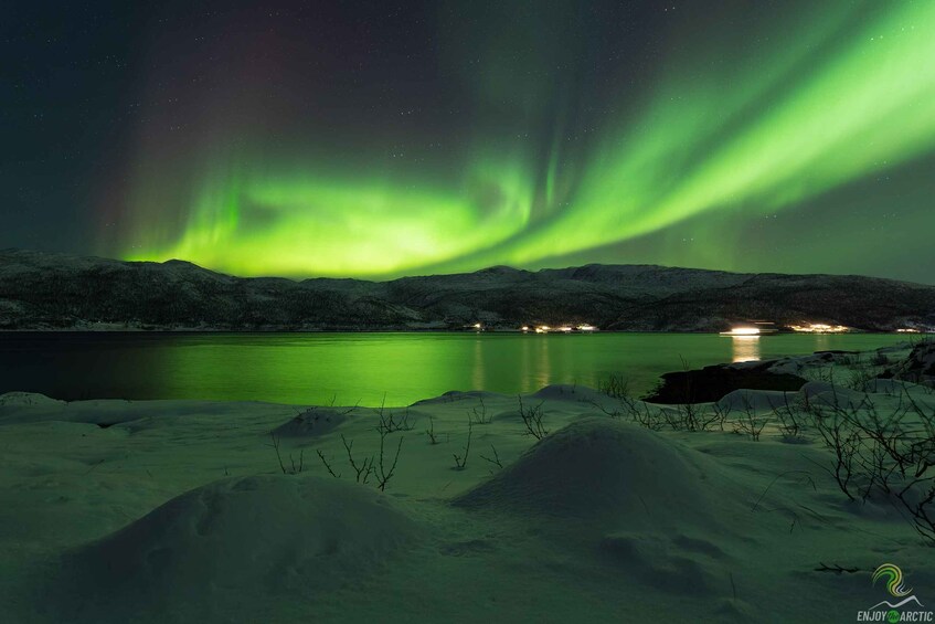 Picture 3 for Activity Tromsø: Northern Lights Trip with Campfire and Snacks