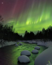 Tromsø: ทริปล่าแสงเหนือพร้อมแคมป์ไฟและอาหารว่าง