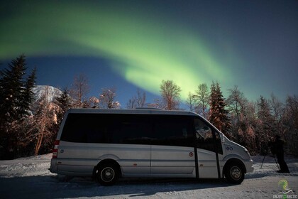 Tromsø: Nordlicht-Trip mit Lagerfeuer und Snacks