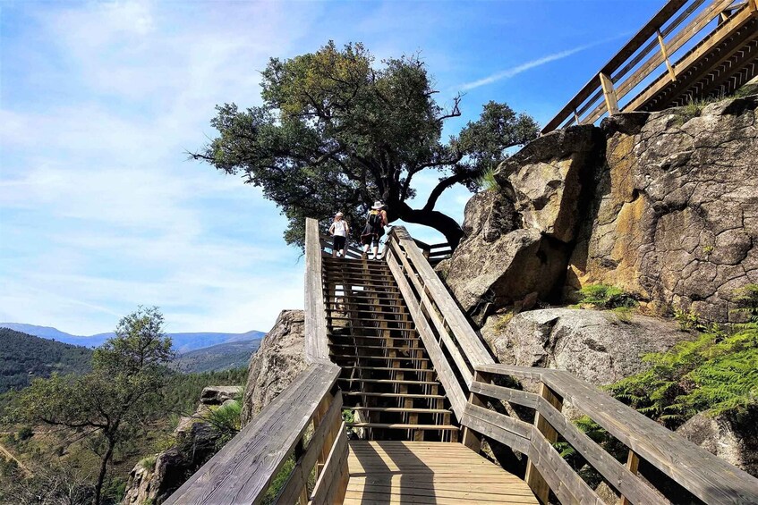 Picture 17 for Activity Porto: Paiva Walkways and Suspension Bridge Hike with Lunch