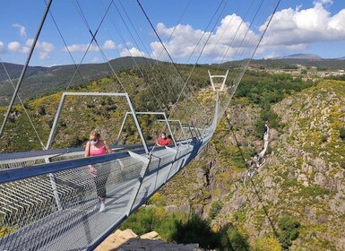 Porto: Paiva Walkways and Suspension Bridge Hike with Lunch