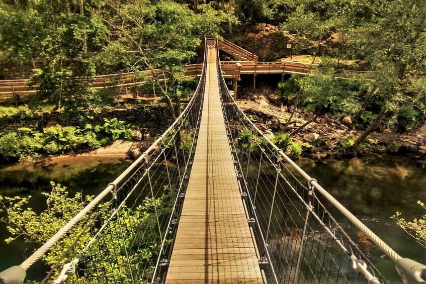 Picture 15 for Activity Porto: Paiva Walkways and Suspension Bridge Hike with Lunch