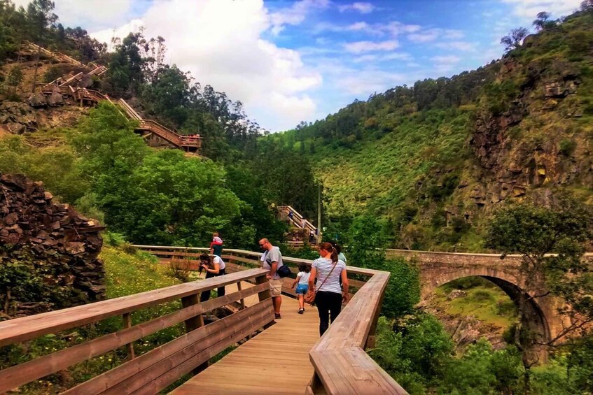 Picture 11 for Activity Porto: Paiva Walkways and Suspension Bridge Full Trail Hike