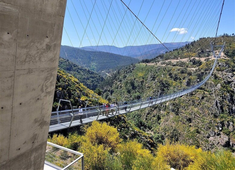 Picture 2 for Activity Porto: Paiva Walkways and Suspension Bridge Hike with Lunch