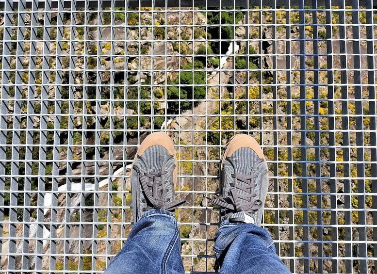 Picture 3 for Activity Porto: Paiva Walkways and Suspension Bridge Full Trail Hike