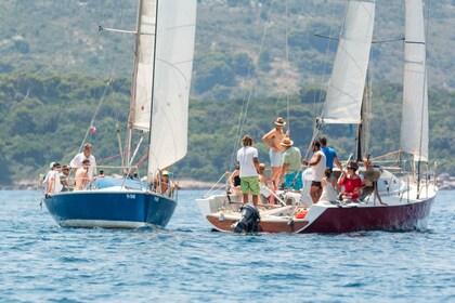 Dubrovnik : Excursion privée à la voile dans les îles Elaphiti