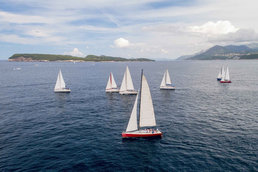 Picture 8 for Activity Dubrovnik: Elaphiti Islands Sailing Tour