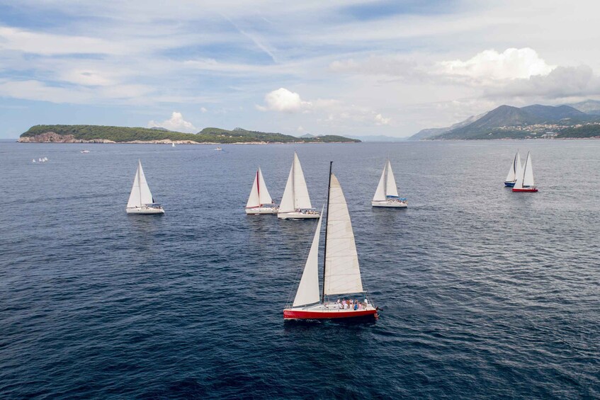 Picture 8 for Activity Dubrovnik: Private Elaphiti Islands Sailing Tour