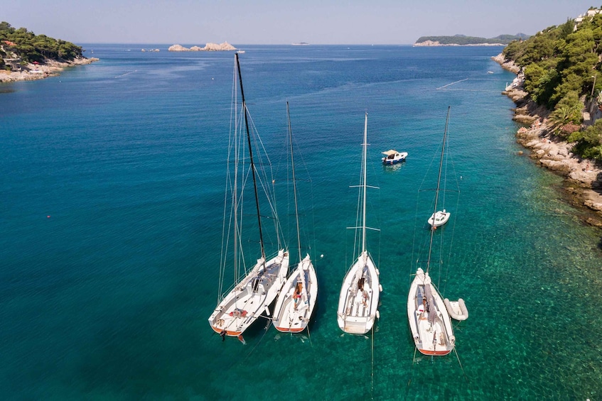 Picture 14 for Activity Dubrovnik: Private Elaphiti Islands Sailing Tour