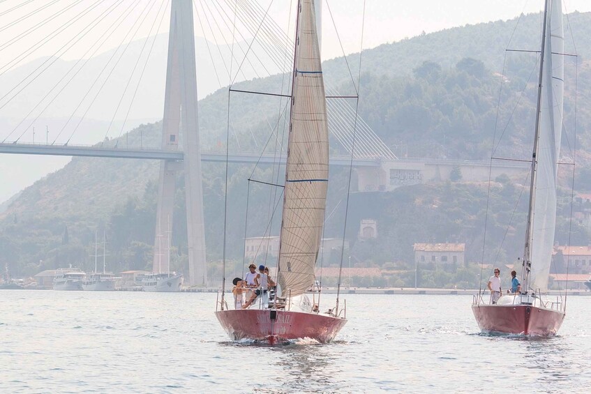 Picture 11 for Activity Dubrovnik: Private Elaphiti Islands Sailing Tour