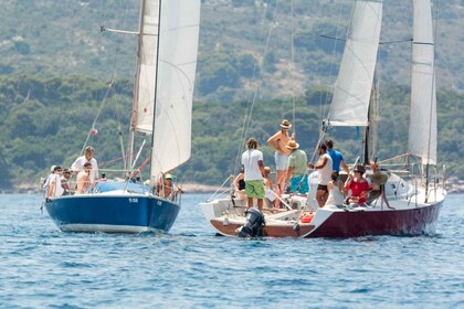 Dubrovnik: tour privado en velero por las islas Elaphiti