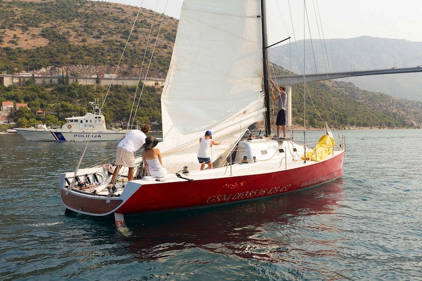 Picture 13 for Activity Dubrovnik: Private Elaphiti Islands Sailing Tour