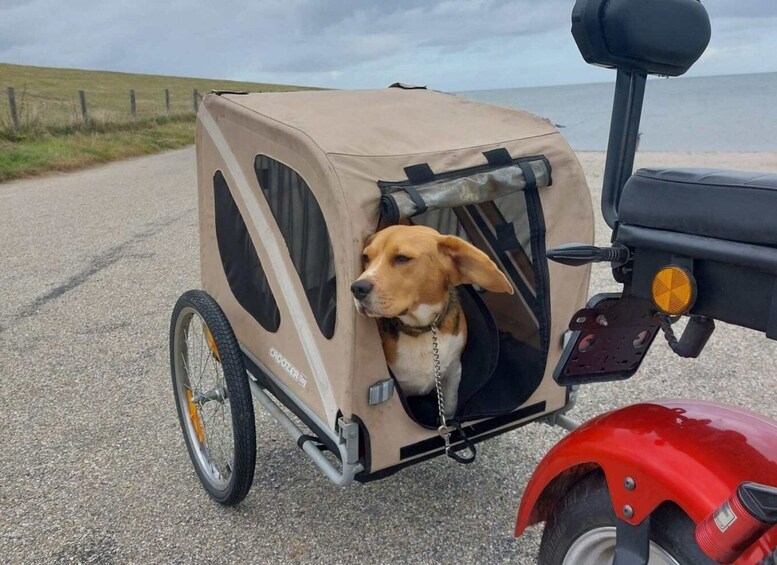 Picture 6 for Activity Texel: E-Scooter Rental