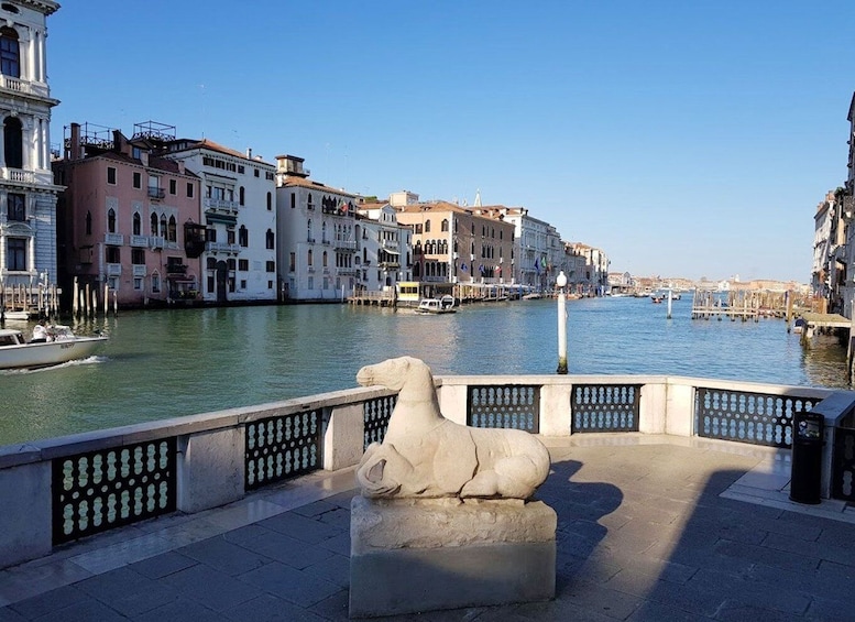 Picture 4 for Activity Venice: Peggy Guggenheim Collection Tour with Private Guide