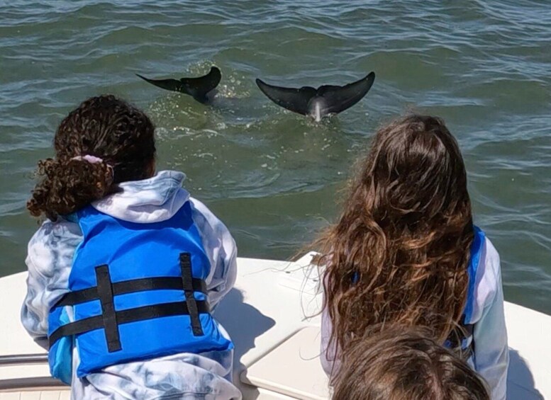 Picture 2 for Activity Hilton Head Island: Private Dolphin and Nature Tour