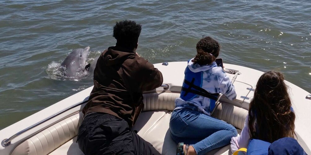 Picture 3 for Activity Hilton Head Island: Dolphin and Nature Tour