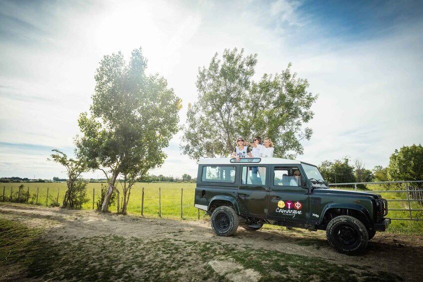 Picture 14 for Activity Camargue: Half-Day 4x4 Guided Safari Adventure