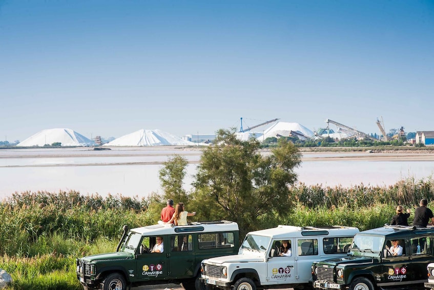 Picture 4 for Activity Camargue: Half-Day 4x4 Guided Safari Adventure