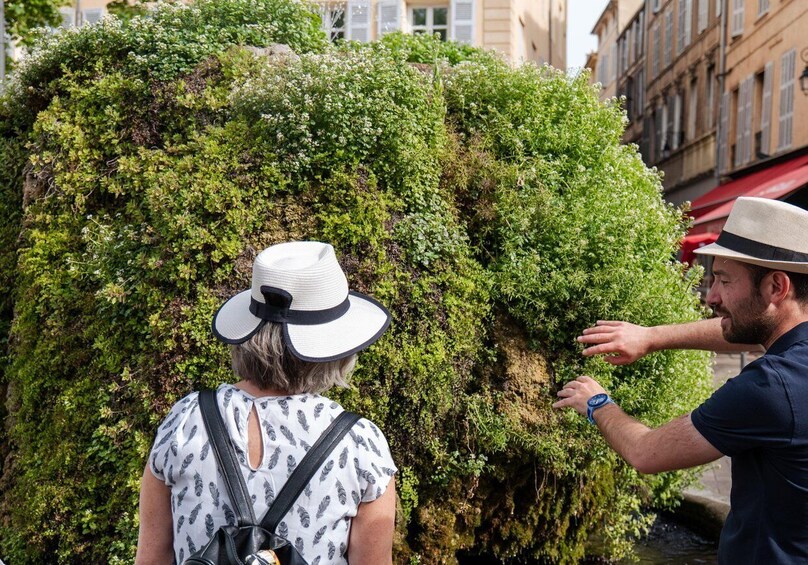 Picture 3 for Activity Aix-en-Provence City Tour with Wine and Cheese & Luberon