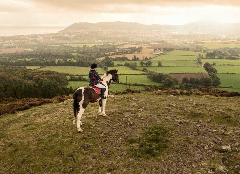 Picture 2 for Activity Wicklow: Private Day Tour from Dublin